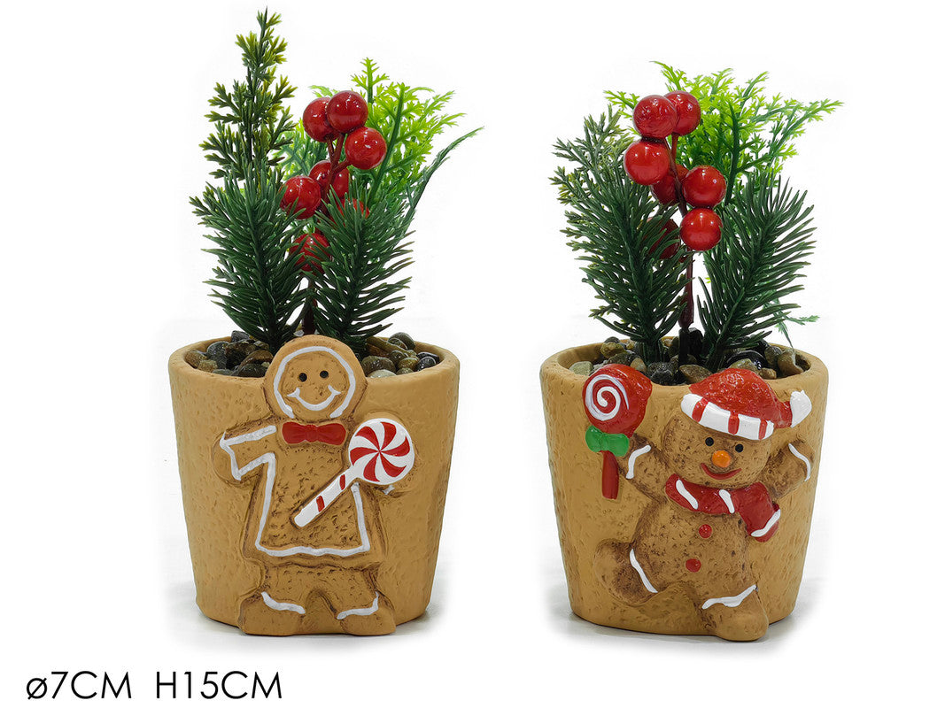 DEC. PIANTA PAN DI ZENZ. Ø7XH15CM 2ASS