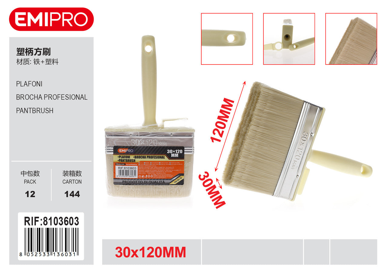 Emi PLAFONI 30*120MM