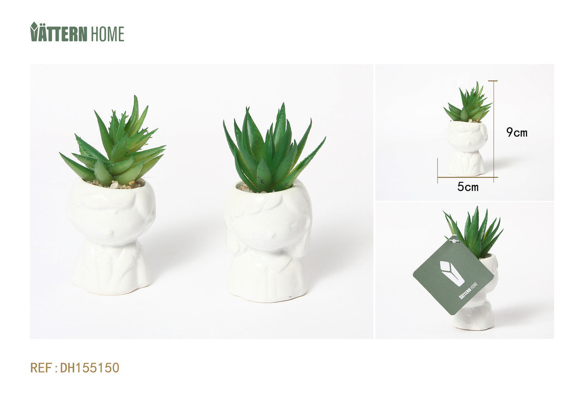 Mini Pianta Grassa Artificiale in Vaso “Testa Donna-Uomo”