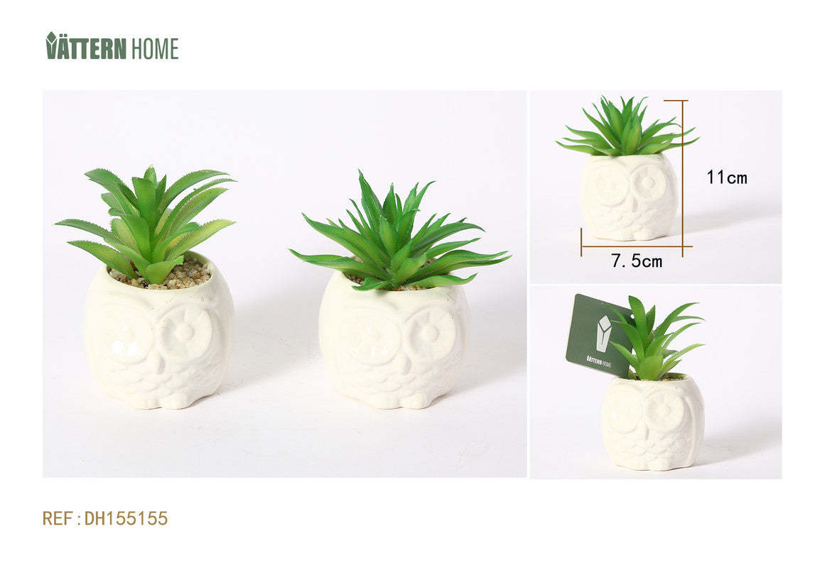 Mini Pianta Grassa Artificiale in Vaso Gufo