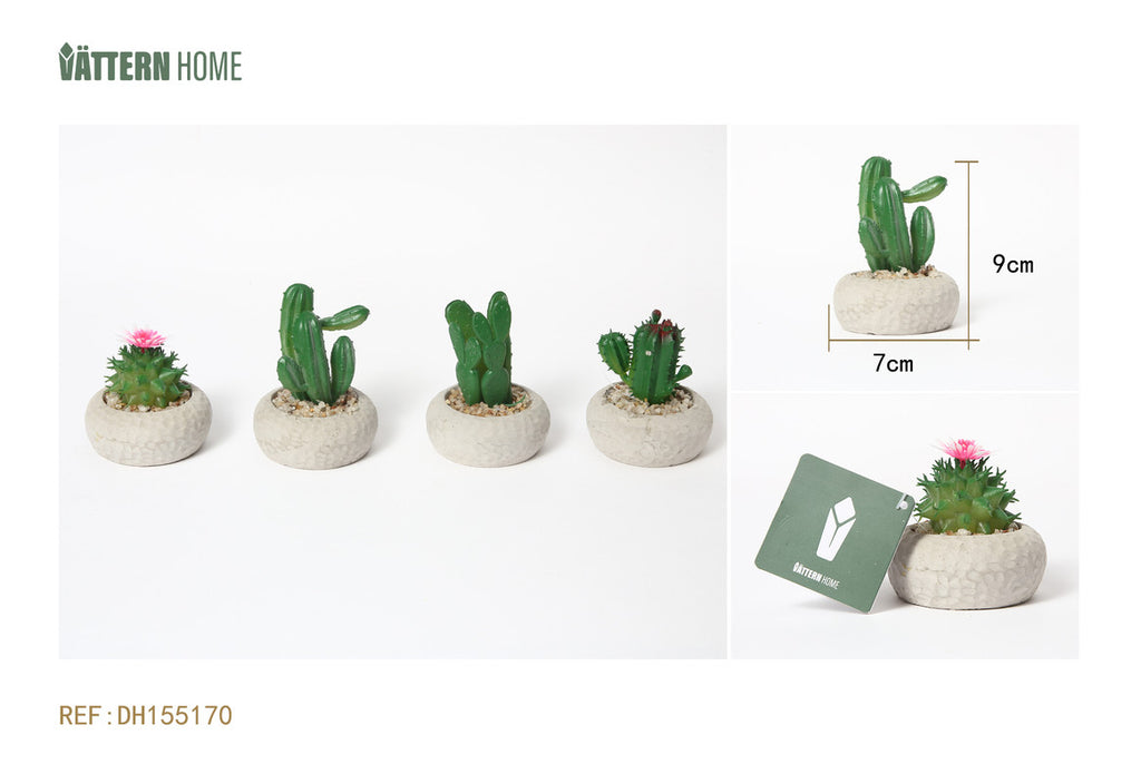 Mini Cactus Artificiale in Vaso di Cemento