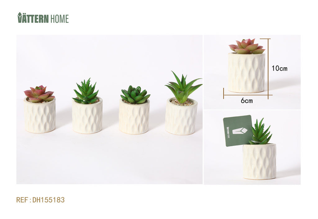 Mini Pianta Grassa Artificiale in Vaso Ceramico a Rilievo