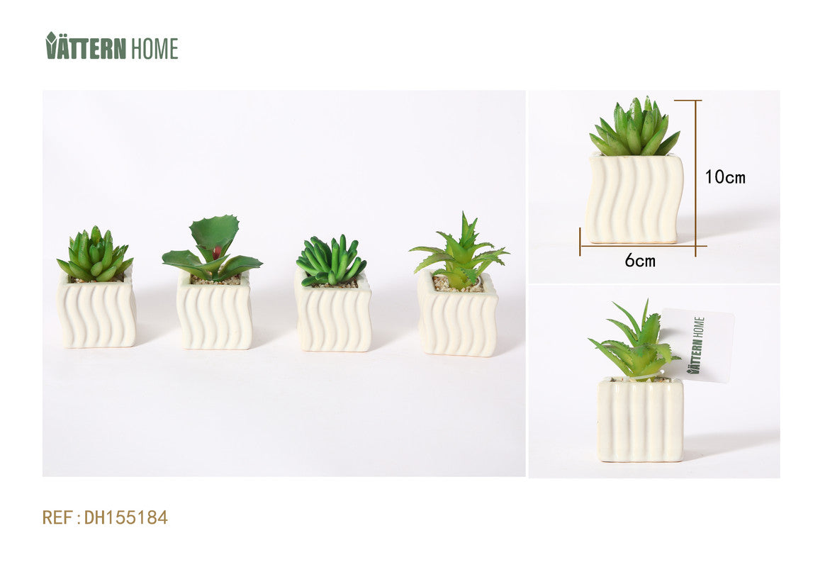 Mini Pianta Grassa Artificiale in Vaso Ceramico Ondulato