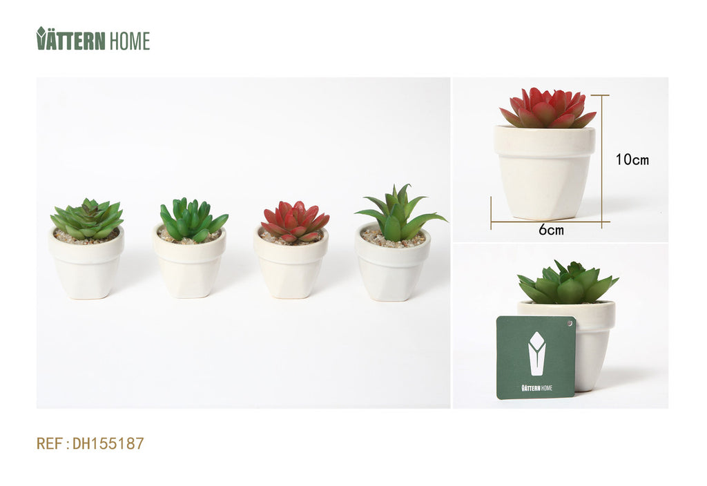 Mini Pianta Grassa Artificiale in Vaso Bianco