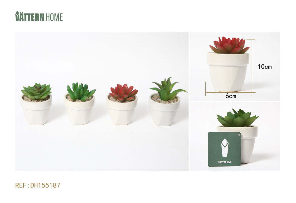 Mini Pianta Grassa Artificiale in Vaso Bianco