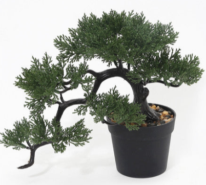 Pianta Artificiale Bonsai