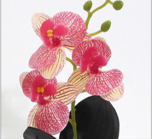 Orchidea Artificiale in Vaso