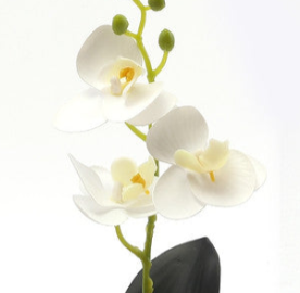 Orchidea Artificiale in Vaso