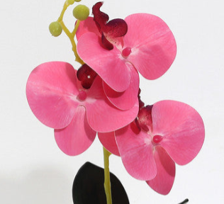 Orchidea Artificiale Alta in Vaso