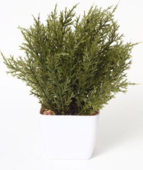 Pianta Artificiale in Vaso