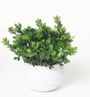 Mini Pianta Artificiale in Vaso Tondo