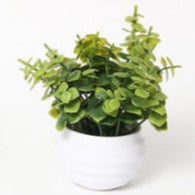 Mini Pianta Artificiale in Vaso Tondo