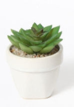 Mini Pianta Grassa Artificiale in Vaso Bianco