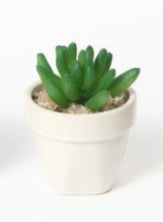 Mini Pianta Grassa Artificiale in Vaso Bianco