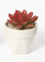 Mini Pianta Grassa Artificiale in Vaso Bianco