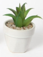 Mini Pianta Grassa Artificiale in Vaso Bianco