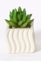 Mini Pianta Grassa Artificiale in Vaso Ceramico Ondulato