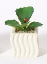 Mini Pianta Grassa Artificiale in Vaso Ceramico Ondulato