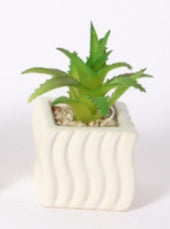 Mini Pianta Grassa Artificiale in Vaso Ceramico Ondulato
