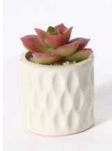 Mini Pianta Grassa Artificiale in Vaso Ceramico a Rilievo