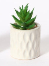 Mini Pianta Grassa Artificiale in Vaso Ceramico a Rilievo