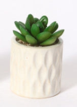 Mini Pianta Grassa Artificiale in Vaso Ceramico a Rilievo