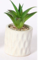 Mini Pianta Grassa Artificiale in Vaso Ceramico a Rilievo