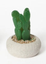 Mini Cactus Artificiale in Vaso di Cemento