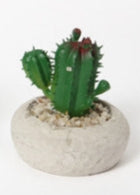 Mini Cactus Artificiale in Vaso di Cemento