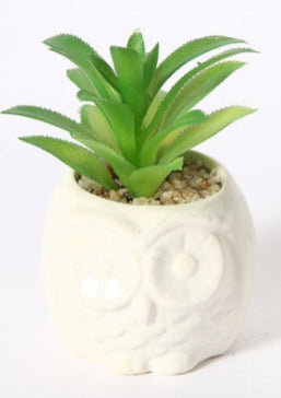 Mini Pianta Grassa Artificiale in Vaso Gufo