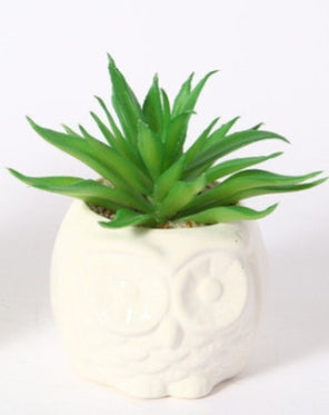 Mini Pianta Grassa Artificiale in Vaso Gufo