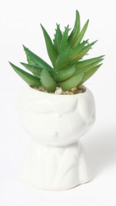 Mini Pianta Grassa Artificiale in Vaso “Testa Donna-Uomo”