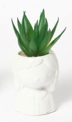 Mini Pianta Grassa Artificiale in Vaso “Testa Donna-Uomo”